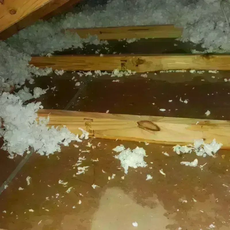 Attic Water Damage in Abita Springs, LA