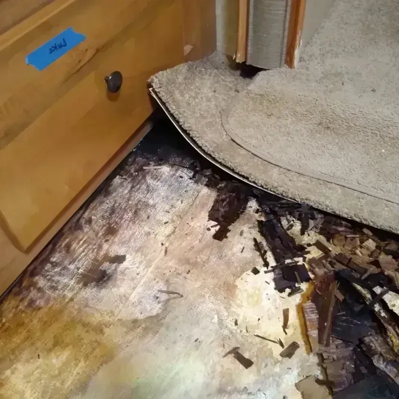 Best Wood Floor Water Damage Service in Abita Springs, LA